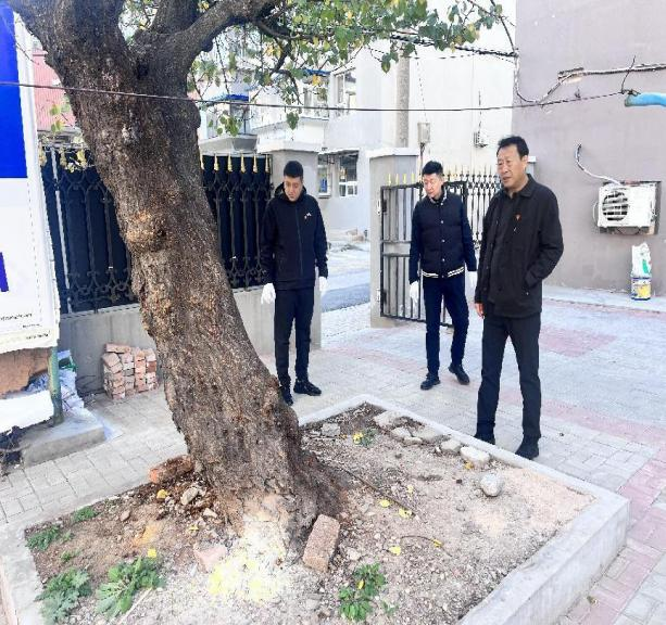 1729132061797477.png 1729132061797477.png